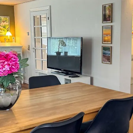 Semesterbostad Elza - 2-5km From The Sea By Interhome Fjerritslev